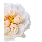 Fondant For You cukorvirág massza - fehér színben 1kg